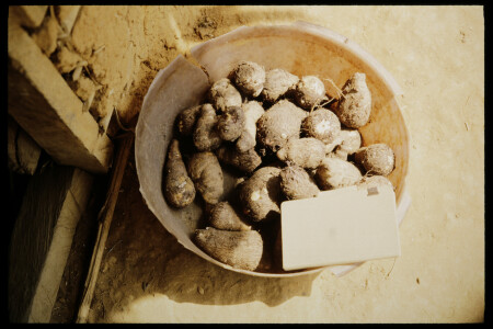 TIFF - 04_11_12