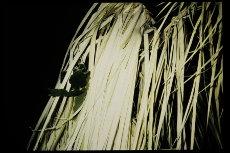 TIFF - 05_12_12