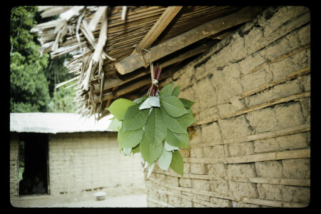 TIFF - 06_04_11