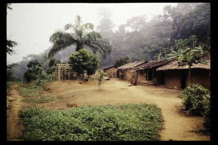 TIFF - 07_03_08