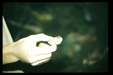 TIFF - 08_06_07