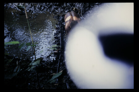 TIFF - 08_17_12