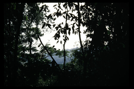TIFF - 11_03_07