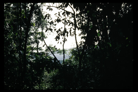 TIFF - 11_03_08