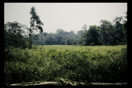 TIFF - 11_07_10