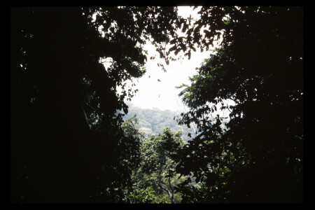 TIFF - 11_11_06