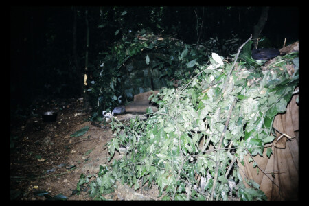 TIFF - 12_06_03