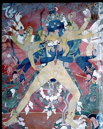 15_Hemis_ヘミス - hem.059